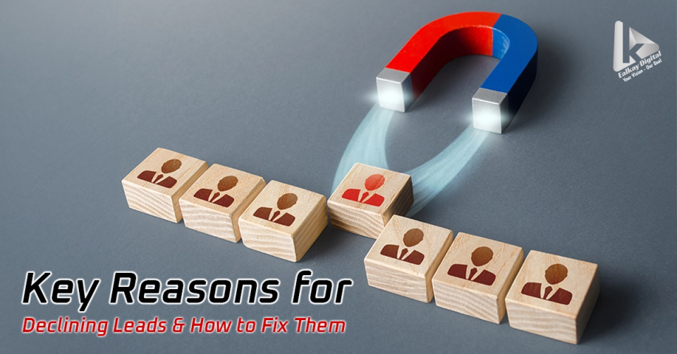 Reasons for Declining Leads